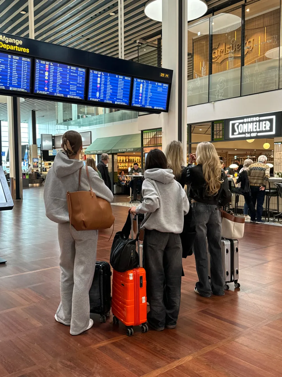 Anelise hoodie - Grå melange