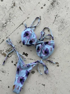 Aster bikini